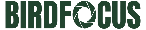BIRDFOCUS